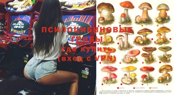 ECSTASY Инта