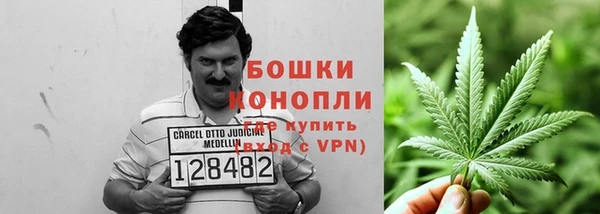 mdpv Инсар