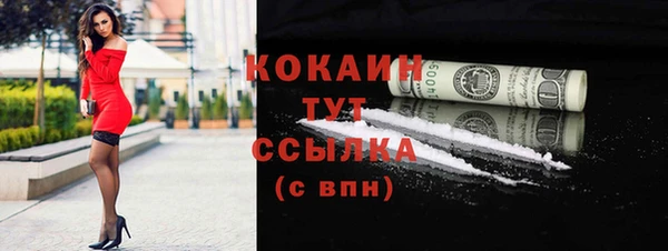 mdpv Инсар