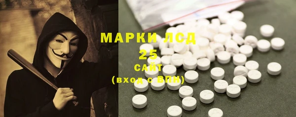 mdpv Инсар