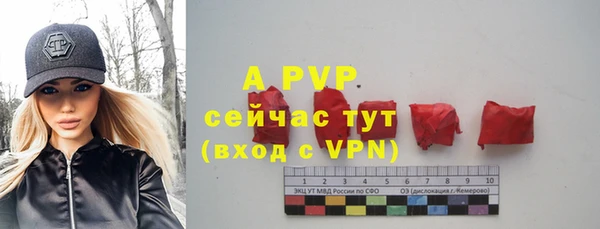 mdpv Инсар