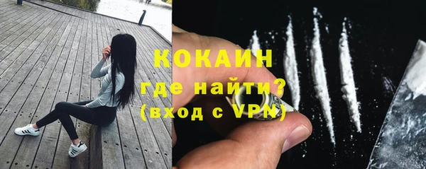 mdpv Инсар