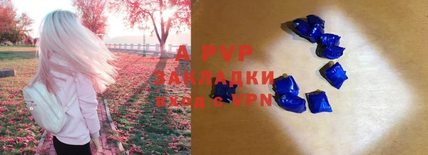 прущие крисы Иннополис