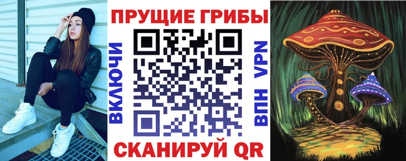 Псилоцибиновые грибы Cubensis  Новочеркасск 
