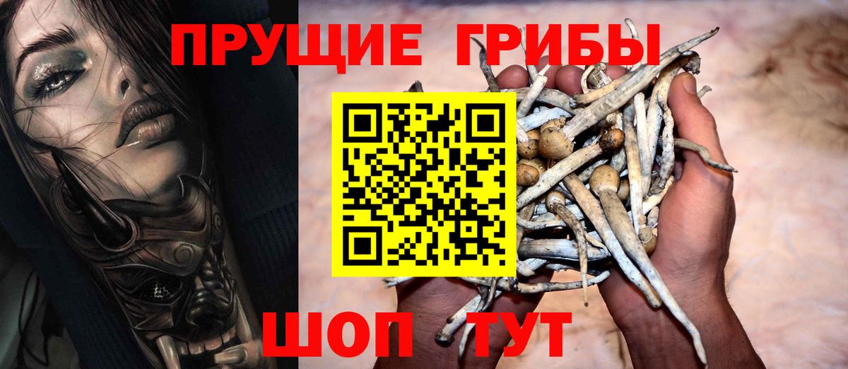 Новочеркасск  наркошоп  Вход с VPN  Галлюциногенные грибы MAGIC MUSHROOMS 