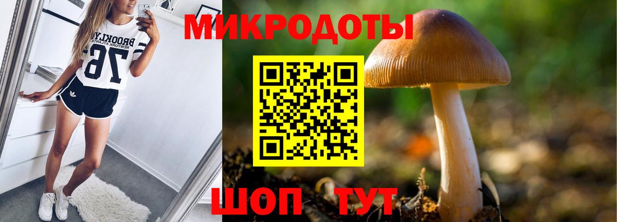 Галлюциногенные грибы прущие грибы Новочеркасск