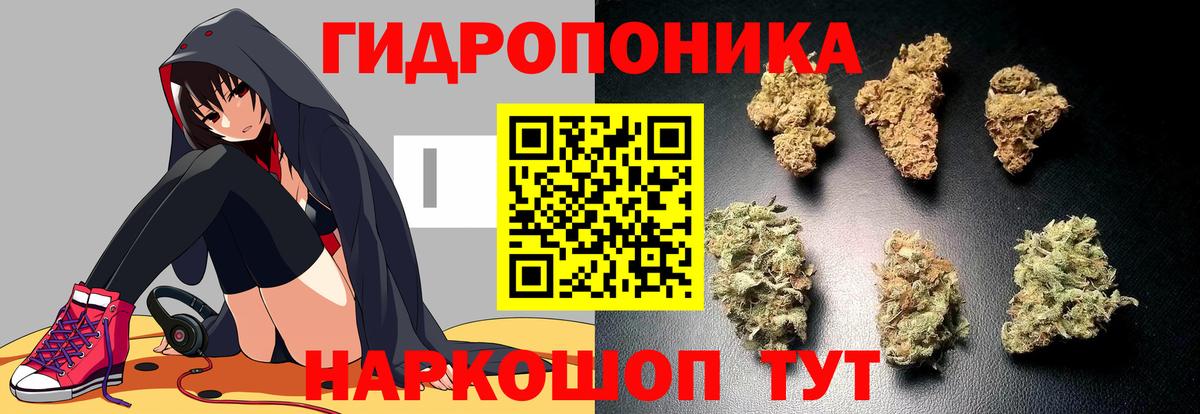 Бошки марихуана VHQ  Вход с VPN  Бошки марихуана White Widow  Каннабис тримм  Новочеркасск  Бошки марихуана Ganja 